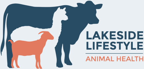 Lakeside Lifestyle logo